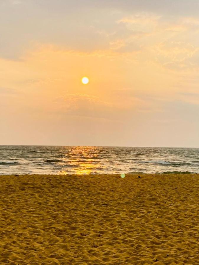 مبيت وإفطار إندوروفا The We2 "Wildwood Elegance Escape" المظهر الخارجي الصورة
